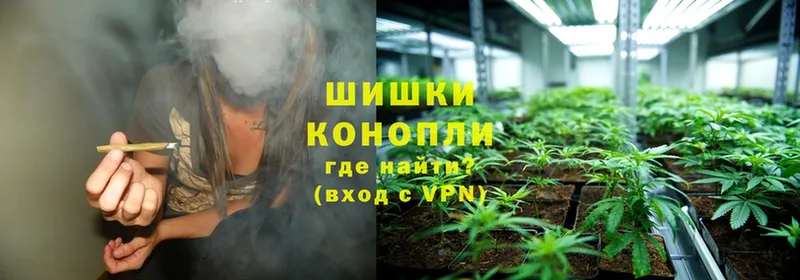 Конопля THC 21%  Гвардейск 